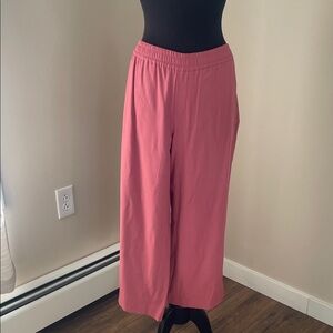 Ann Taylor Factory Pink Cropped Pants
